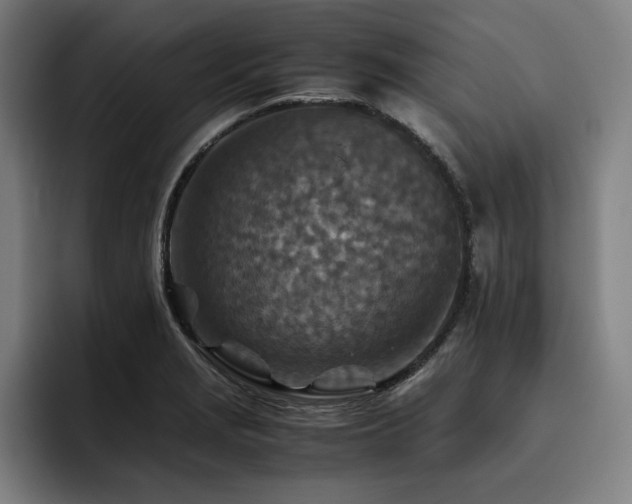 X0000093511229200710121526