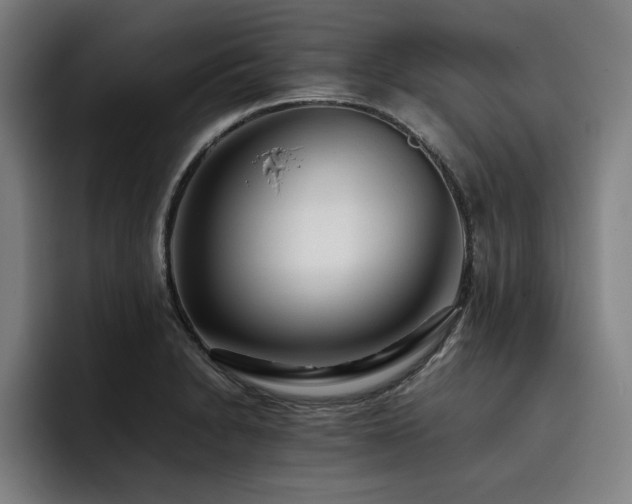X0000093511230200710121526