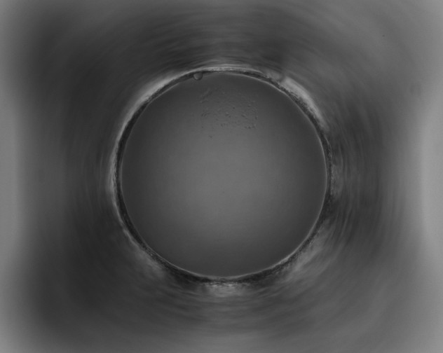 X0000093511231200710121526