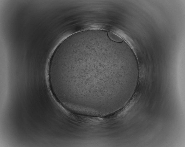 X0000093511235200710121526