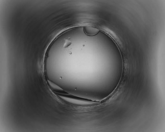 X0000093511236200710121526