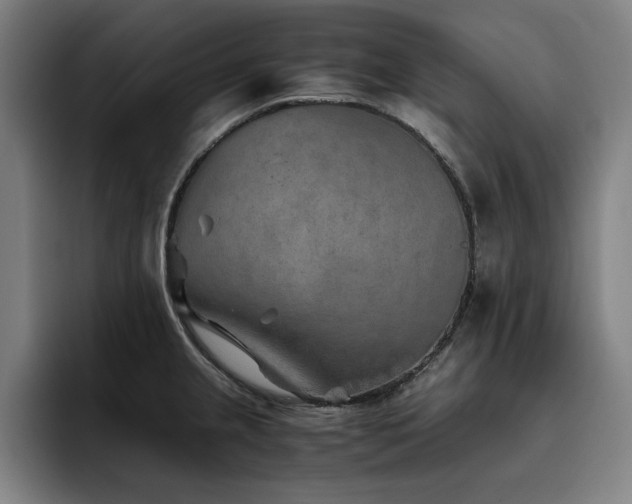 X0000093511237200710121526