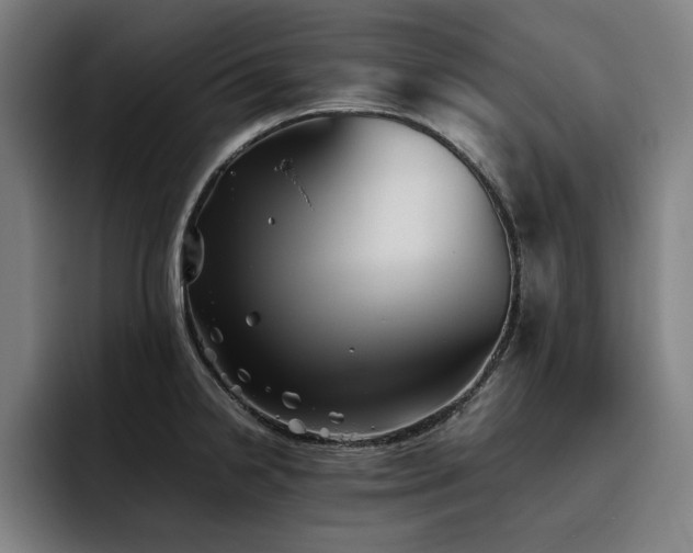 X0000093511238200710121526