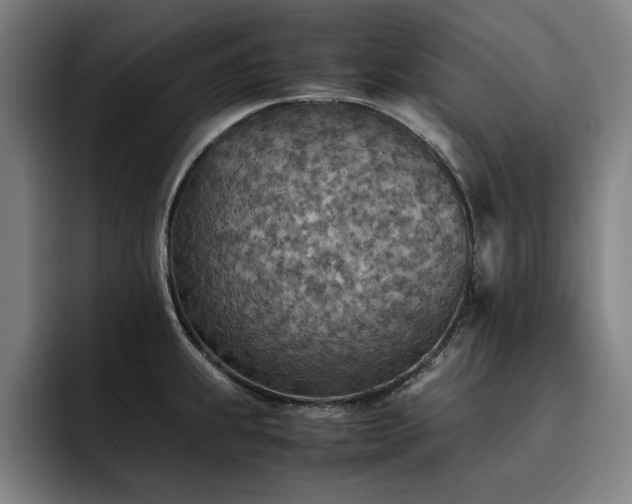 X0000093511239200710121526