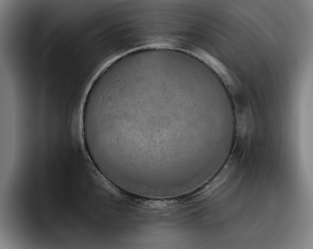 X0000093511240200710121526