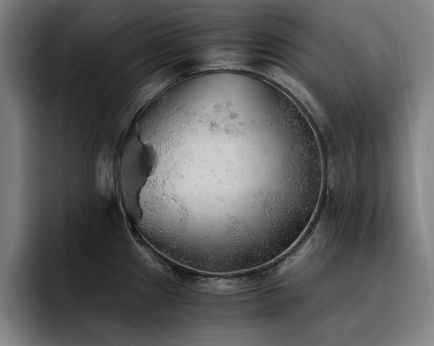 X0000093511241200710121526