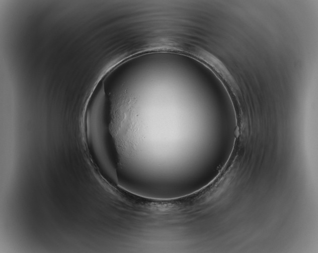 X0000093511242200710121526