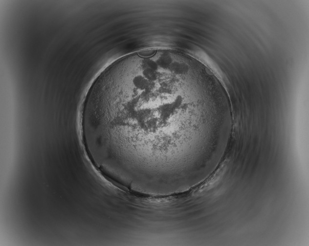 X0000093511243200710121526