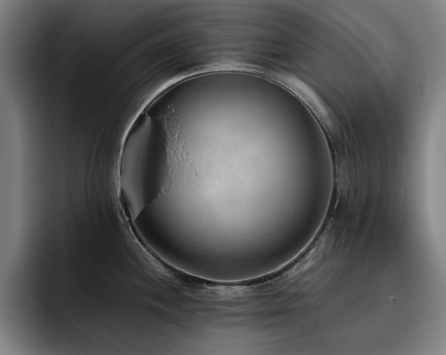 X0000093511244200710121526
