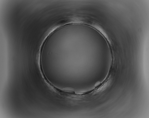 X0000093511245200710121526