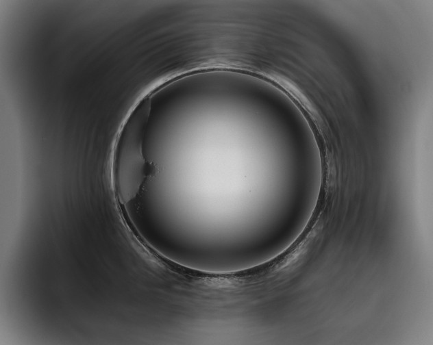 X0000093511246200710121526