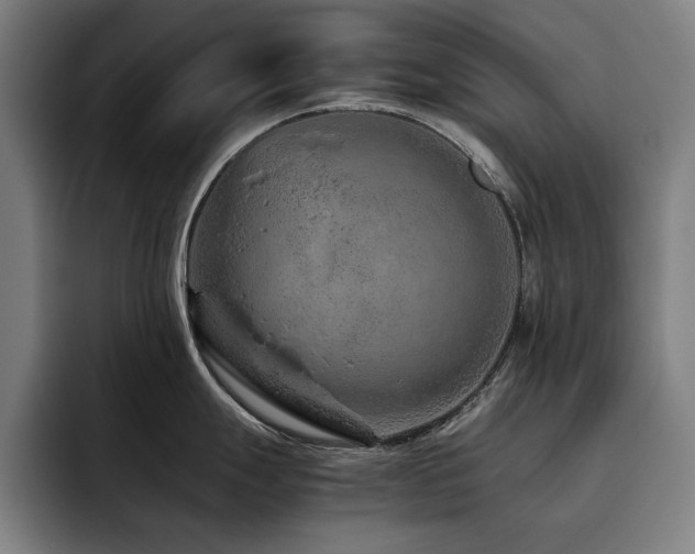 X0000093511247200710121526
