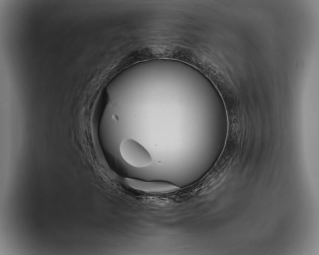 X0000093511249200710121525