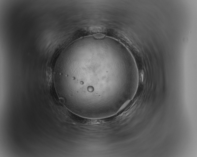 X0000093511251200710121525