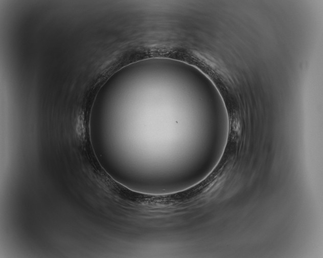 X0000093511252200710121525