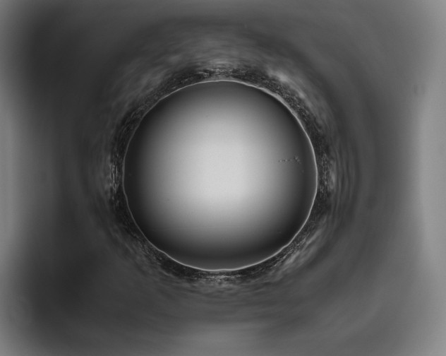 X0000093511253200710121525