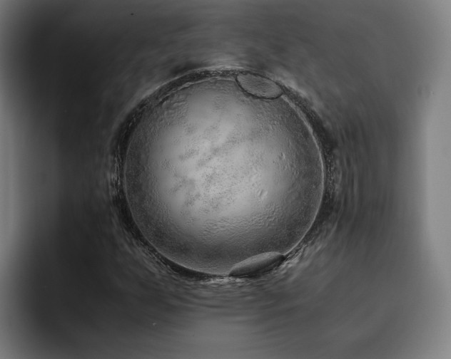 X0000093511255200710121525