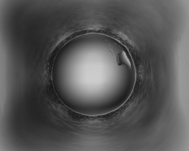 X0000093511256200710121525