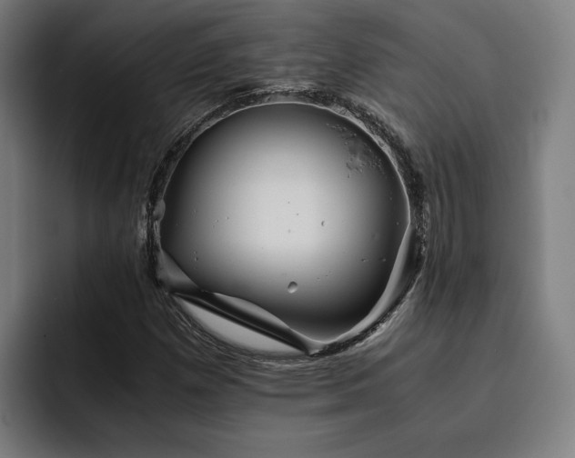 X0000093511257200710121525