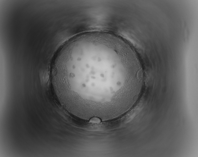 X0000093511259200710121525