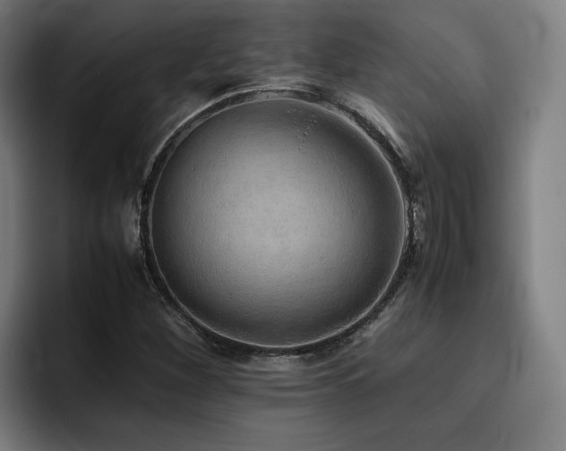 X0000093511260200710121525