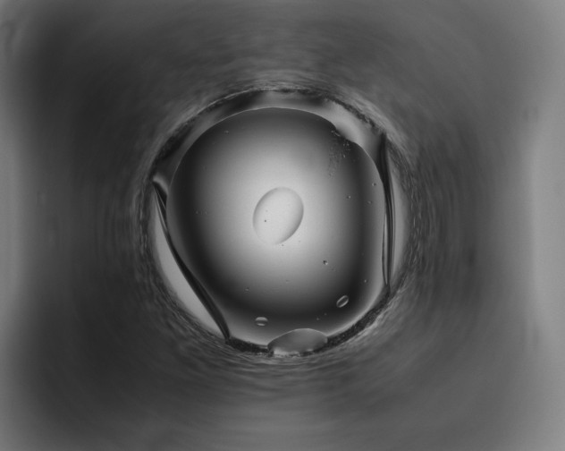 X0000093511261200710121525