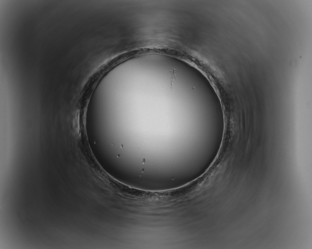 X0000093511262200710121525