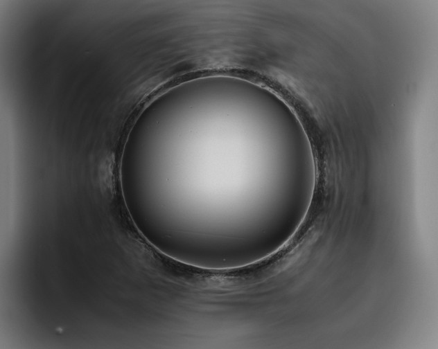 X0000093511265200710121525