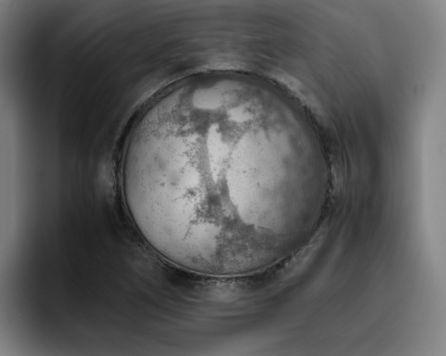 X0000093511266200710121525