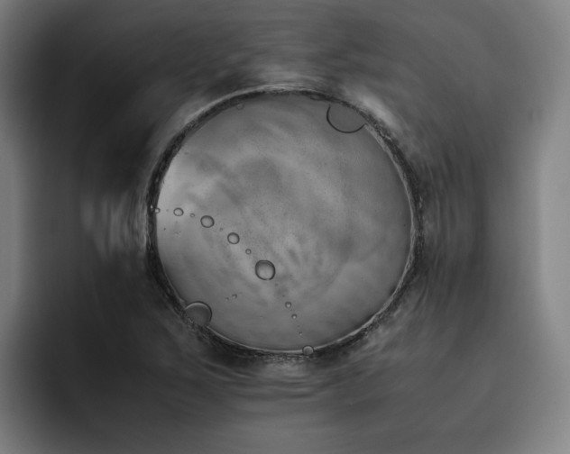 X0000093511267200710121525