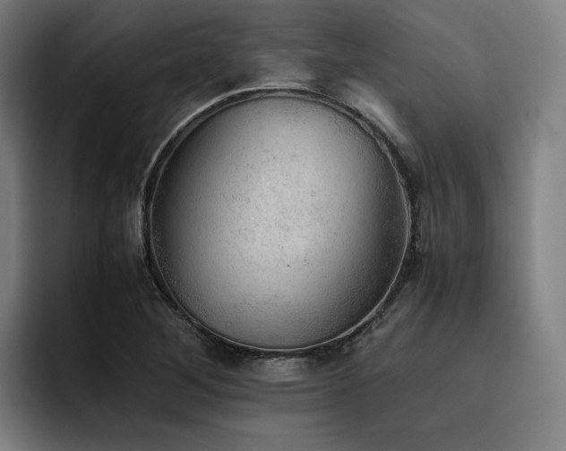 X0000093511268200710121525