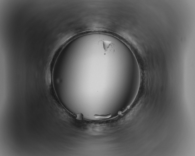 X0000093511269200710121525