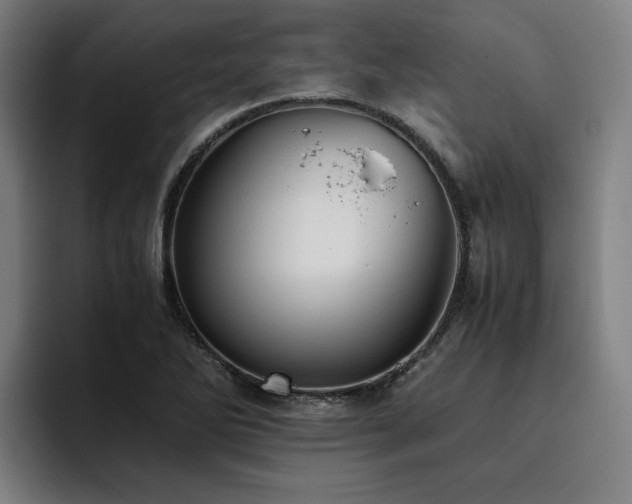 X0000093511270200710121525