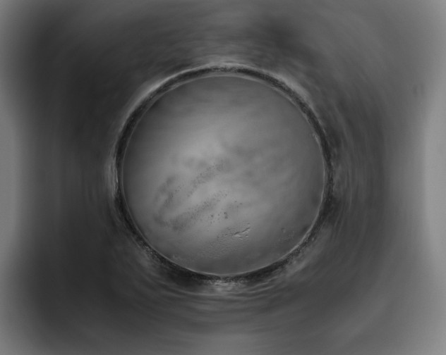 X0000093511271200710121525