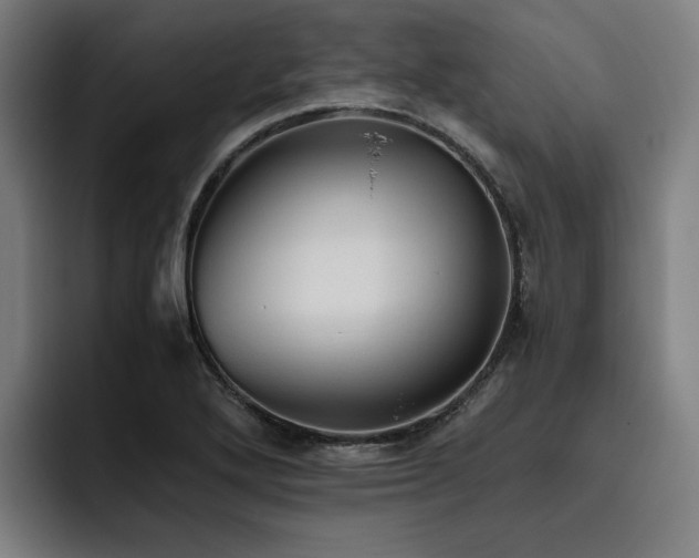 X0000093511272200710121525