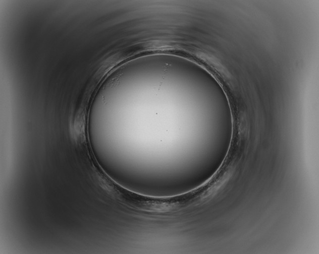 X0000093511273200710121525