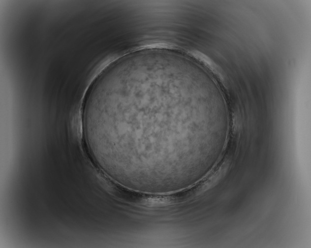 X0000093511274200710121525