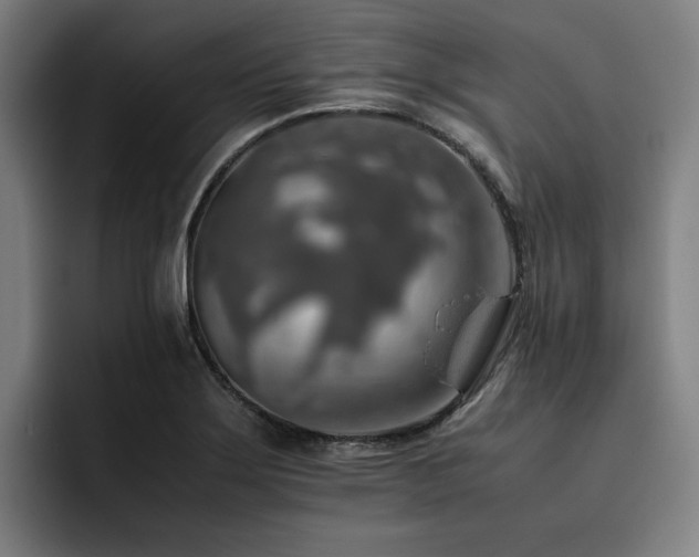 X0000093511275200710121525