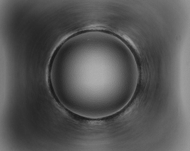X0000093511277200710121525