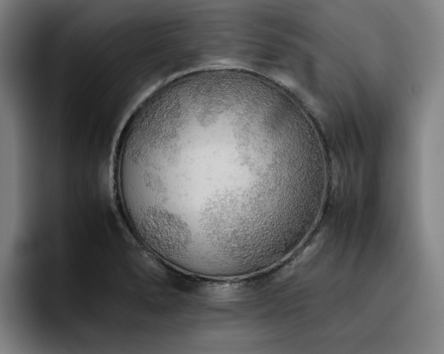 X0000093511278200710121525