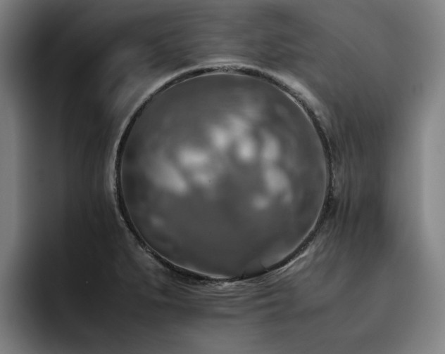 X0000093511279200710121525