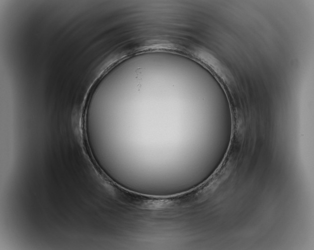 X0000093511282200710121525