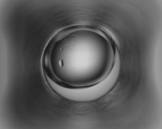 X0000093511283200710121525