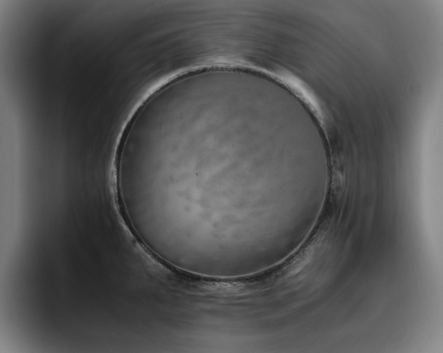 X0000093511287200710121525