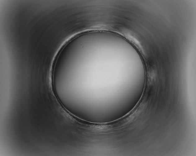 X0000093511288200710121525