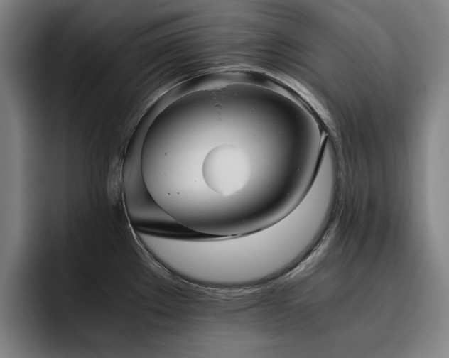 X0000093511289200710121525
