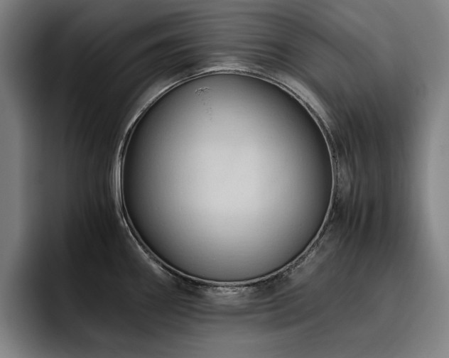 X0000093511290200710121525
