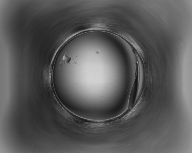 X0000093511292200710121525