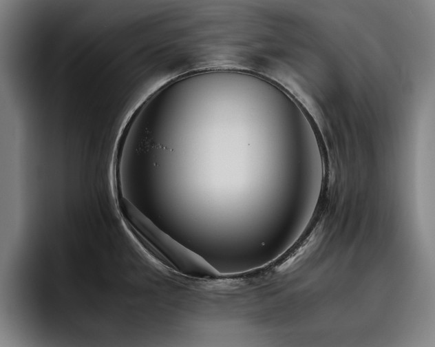 X0000093511293200710121525