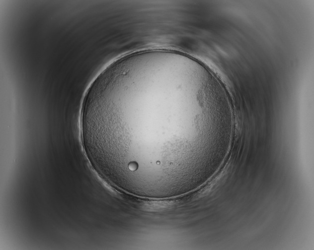 X0000093511294200710121525